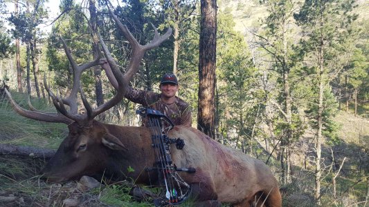 wta_1754_900TN3_elk