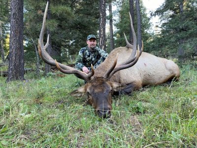 wta_1754__featured_D970EE_BradCasebierunit34bull-muz2019