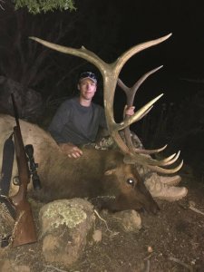 wta_1761_339VKW_deadbull5