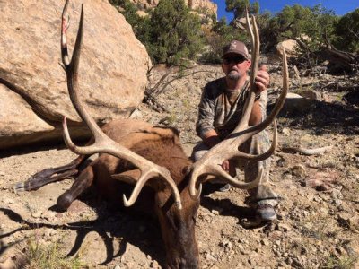 wta_1761_5DWZE3_deadbull3