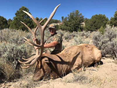 wta_1761_8AT1N3_deadbull6