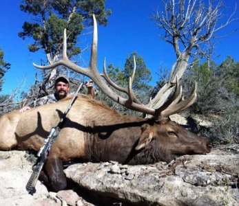 wta_1761_E3MZ22_deadbull1