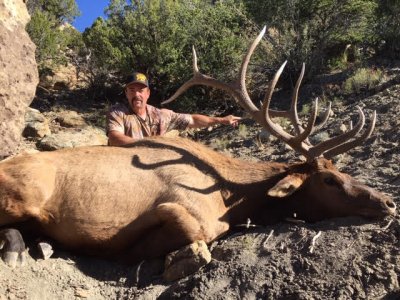 wta_1761_HY9DWH_deadbull4
