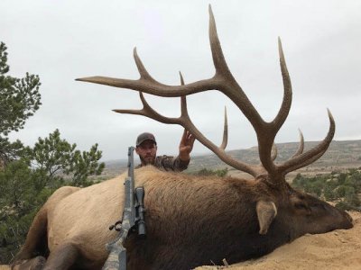 wta_1761_RI5XHQ_deadbull7