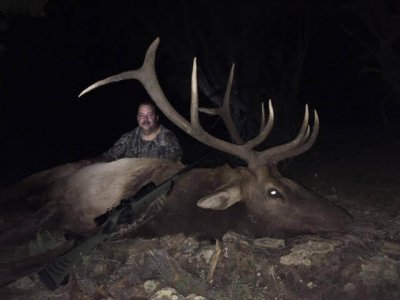 wta_1761_RSL5FA_deadbull2