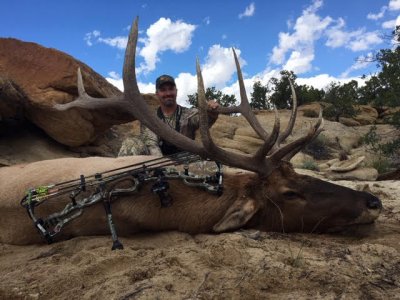 wta_1761_S64NED_deadbull9