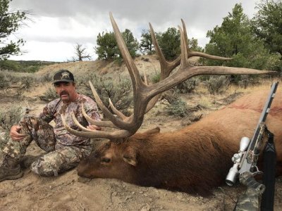 wta_1761__featured_LCMI5A_deadbull8