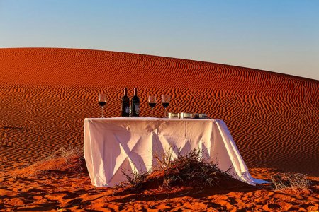 wta_1766_28D08P_chapungu-south-africa-kalahari-oryx-17