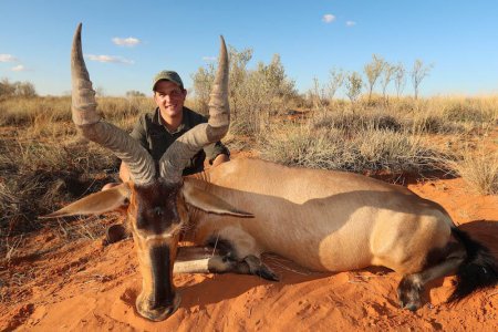 wta_1766_LISOL1_sa-red-hartebeest-1
