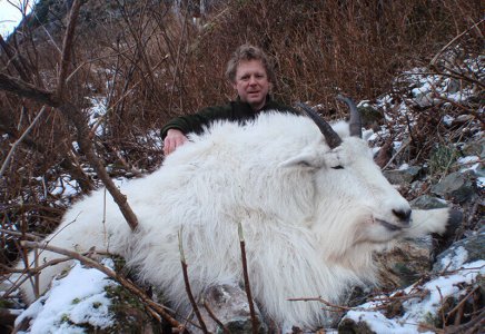 wta_1769_DZ8WEF_goat05a