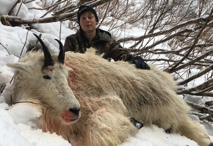 wta_1769__featured_2LOL7G_goat09