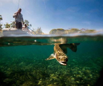 wta_1775_9VA4V4_fishing