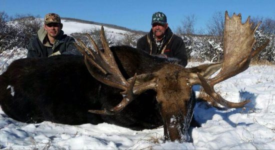 wta_1788_ALMJGM_2017bull