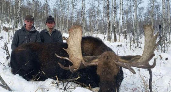 wta_1788_BJ8A86_moose