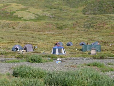 wta_1804_fbc2bdd8a624f08a04636e71c10441eed707cddfbilde (1)