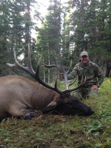 wta_1913_Elk-1-1