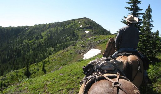 wta_1913_Hunter-on-Horse-Looking-Up-Ridge