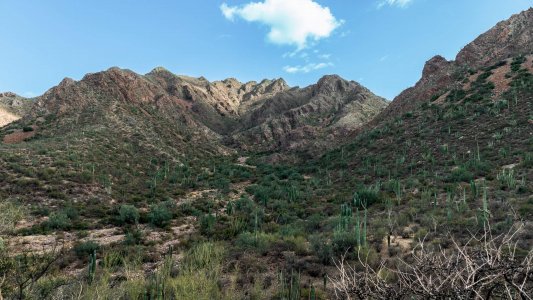 wta_1933_DSC00815