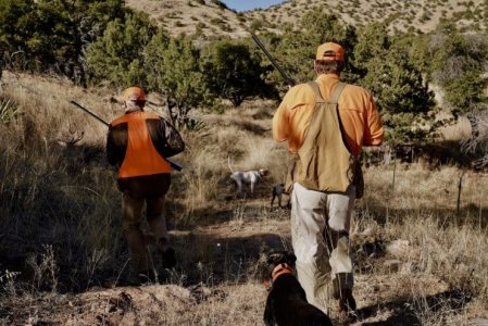 wta_1952_AZ quail 6