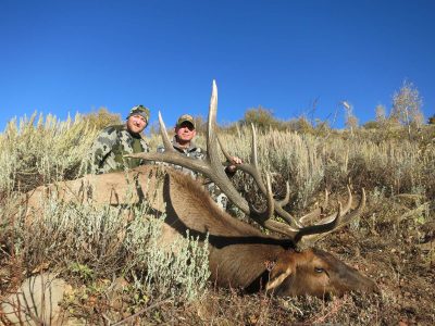 wta_1953_GUILDERSLEEVE BULL #1 - '19