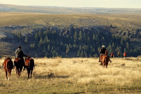 wta_1960_Horse Hunting(25)