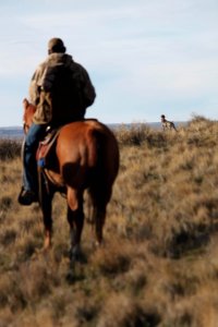 wta_1960_Horse hunting(54)