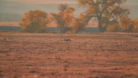 wta_1962_DSC00938