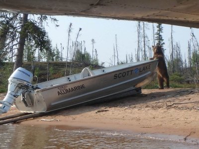 wta_1964_bearonboat
