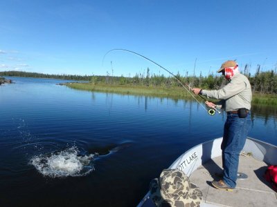 wta_1964_flyfish - Copy