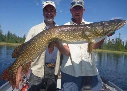 wta_1964_northernpike
