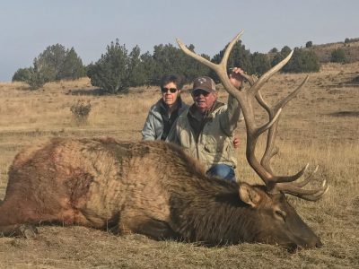 wta_1983_MM BULL #1