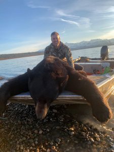wta_1990_AK Bear Shuster