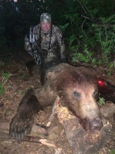 wta_1990_bear1