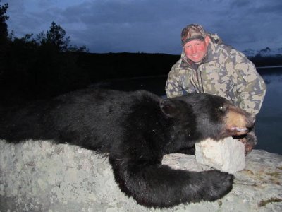 wta_1990_bear9
