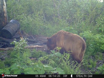 wta_1990_cam1