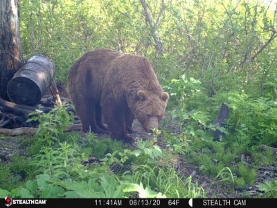 wta_1990_cam2