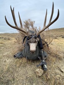 wta_1999_Buck on pack