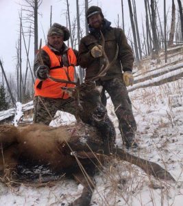 wta_2008_mtn elk