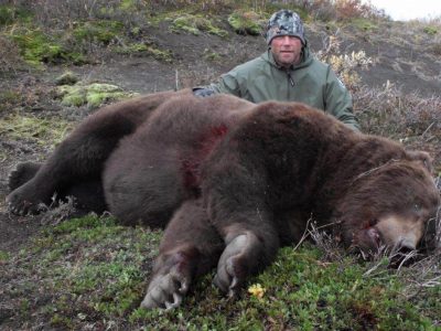 wta_2014_br bear 2