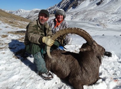 wta_2032_Mid Asian ibex (1)