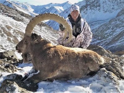 wta_2032_Mid Asian ibex (2)