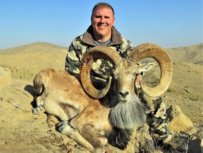 wta_2034_Blanford urial (2)