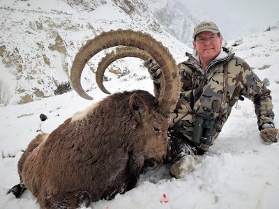 wta_2034_Himalayan ibex (2)