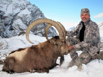 wta_2034_Himalayan ibex (3)