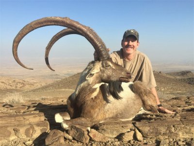 wta_2034_Sind ibex (1)