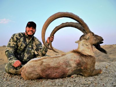wta_2034_Sind ibex (3)