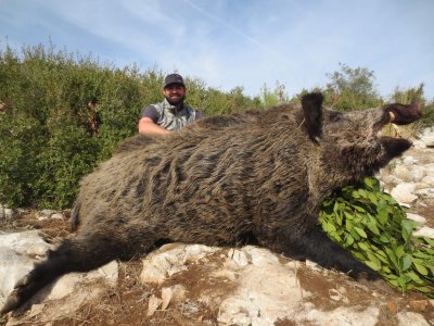 wta_2037_Boar (4)