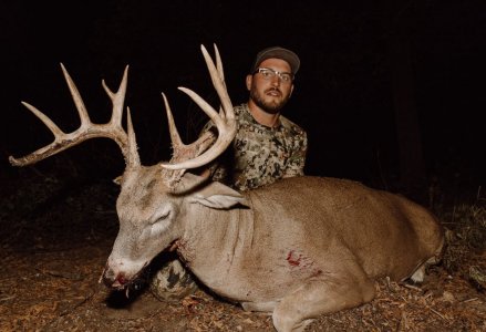 wta_2062_Shane deer 0