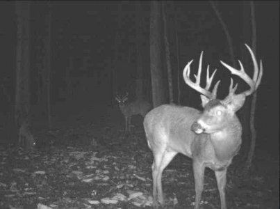 wta_2085_Ohio 2