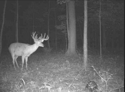wta_2085_Ohio 4